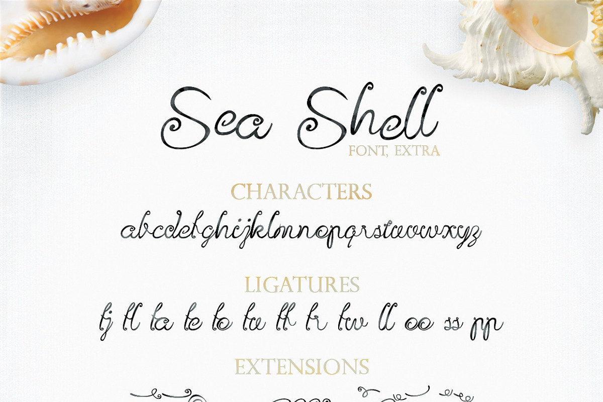 Sea Shell Script, a Script Font by tmcom (Photo 13 of 13)