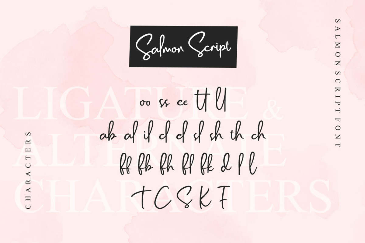 SALE! Salmon Script, a Script Font by Emtheen Std. (Photo 9 of 10)