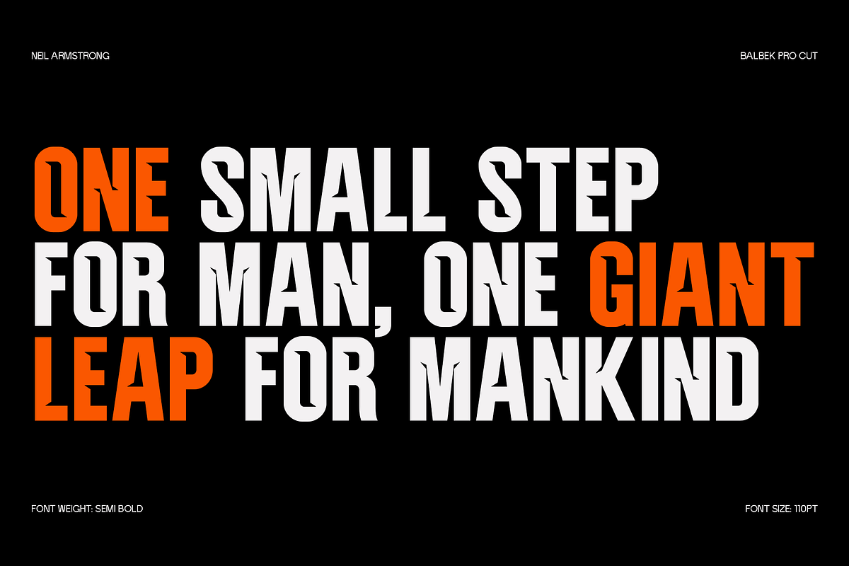 Balbek Pro Cut - Modern Sans Serif, a Sans Serif Font by Valentino Vergan (Photo 3 of 15)
