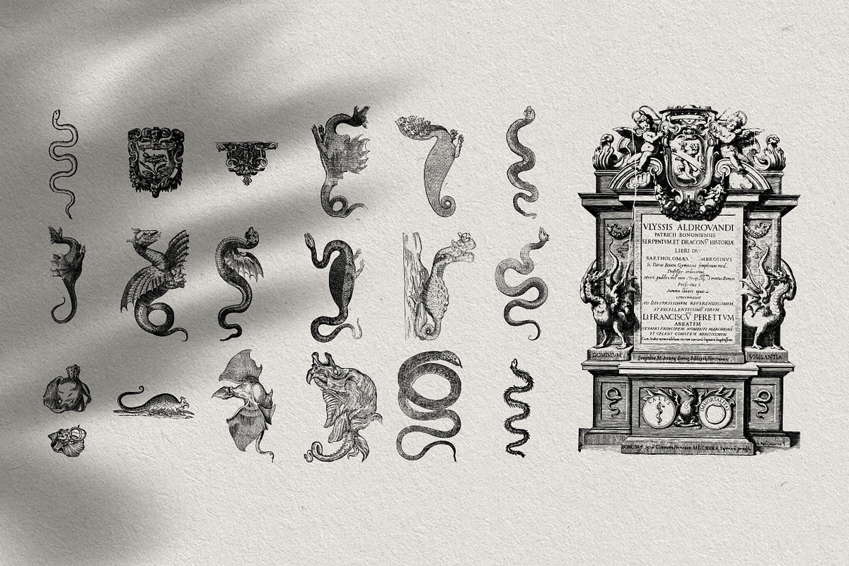 Snakes Dragons An Animal Illustration By Nomad Visuals