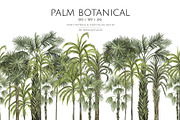 PALM BOTANICAL, a Pattern Graphic by HannaStudio (Thumbnail 1 of 6)