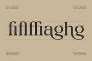 Vielotta Elegant Editorial Serif, a Serif Font by AmorfaType (Thumbnail 4 of 8)