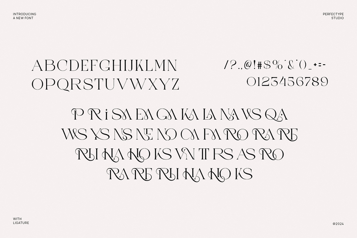 Girona Elegant Serif Font Typefac, a Serif Font by Perfectype (Photo 6 of 6)