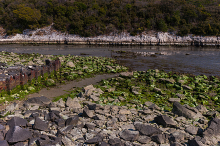 Timavo river resurgences, a Nature Photo by Bepslabor