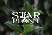 Petrichor - Expanded Serif, a Serif Font by Schrifted Type (Thumbnail 3 of 8)