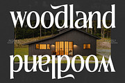 Qugotic Modern Alternate Serif, a Serif Font by timelesstype.co (Thumbnail 3 of 20)