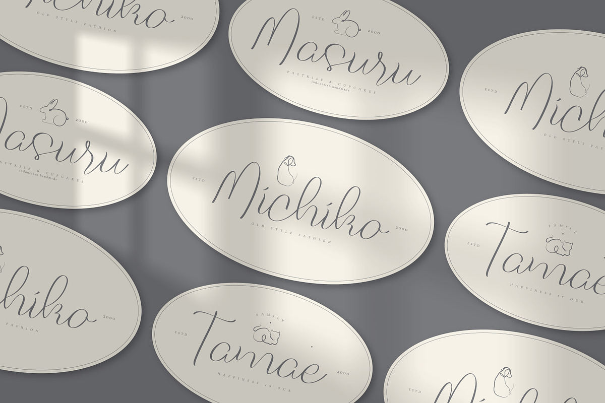 Five Liquor Script Handwritten, a Script Font by infernostudio3 (Photo 9 of 15)