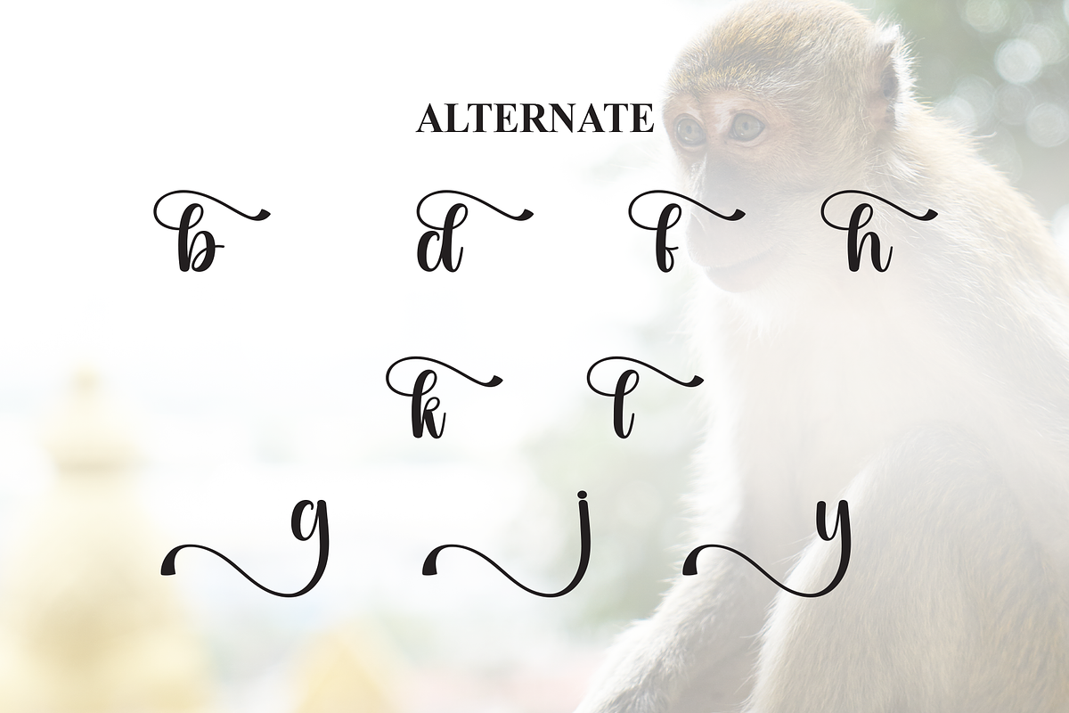 Monkey | Script Font, a Handwritten Font by Scratchones (Photo 8 of 9)