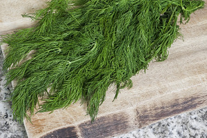Fresh green dill herb bunch on woode, a Food & Drink Photo by 1miromiro