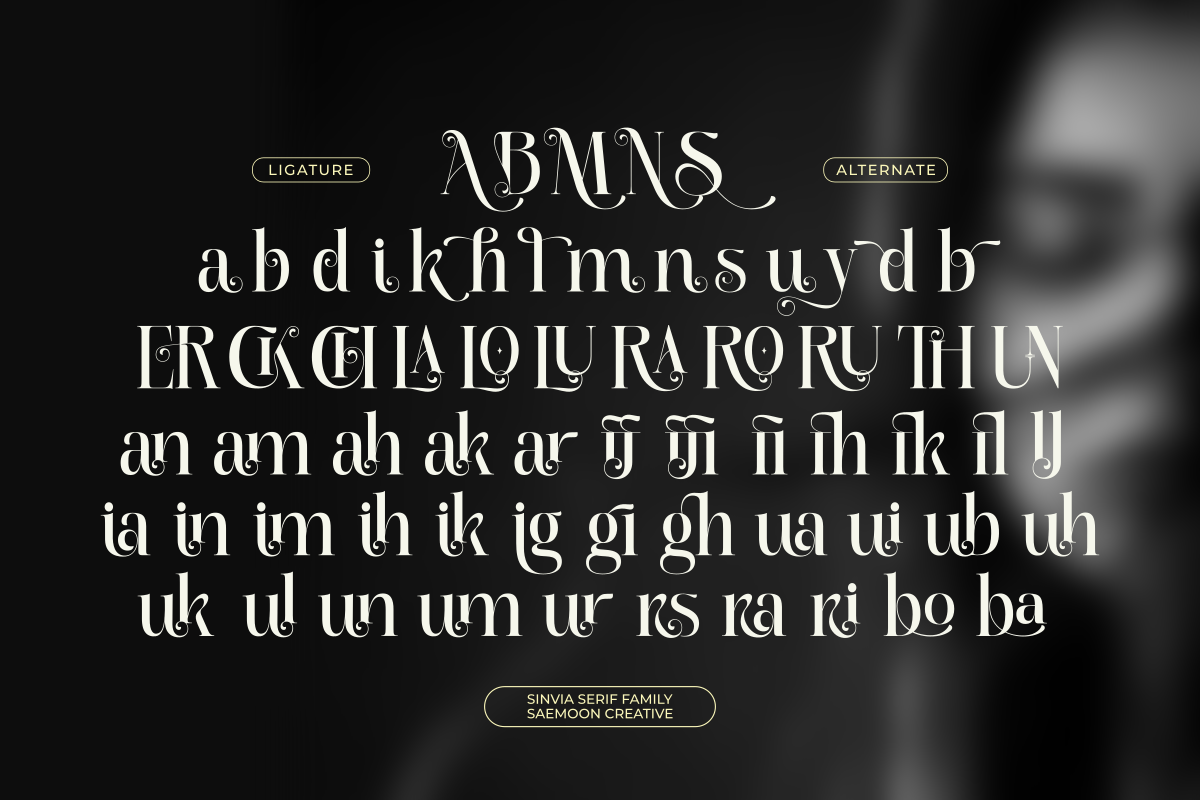 Sinvia, a Serif Font by saemoon creative (Photo 11 of 15)