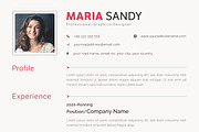 CV / Resume Template, a Resume Template by ARP Creation (Thumbnail 8 of 9)