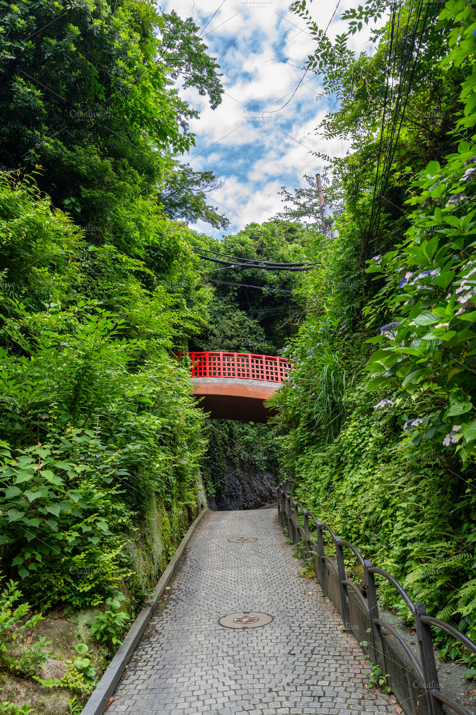 Miyuki Bridge above forest path on Enoshima Island, Japan, a Nature Photo by GoodGoods