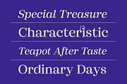 Marchise; 16 Classy Serif Fonts, a Serif Font by Eko Bimantara (Thumbnail 6 of 14)