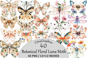 Botanical Floral Luna Moth, an Illustration by CitraGraphics