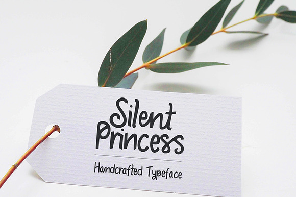 Silent Princess Script preview 4