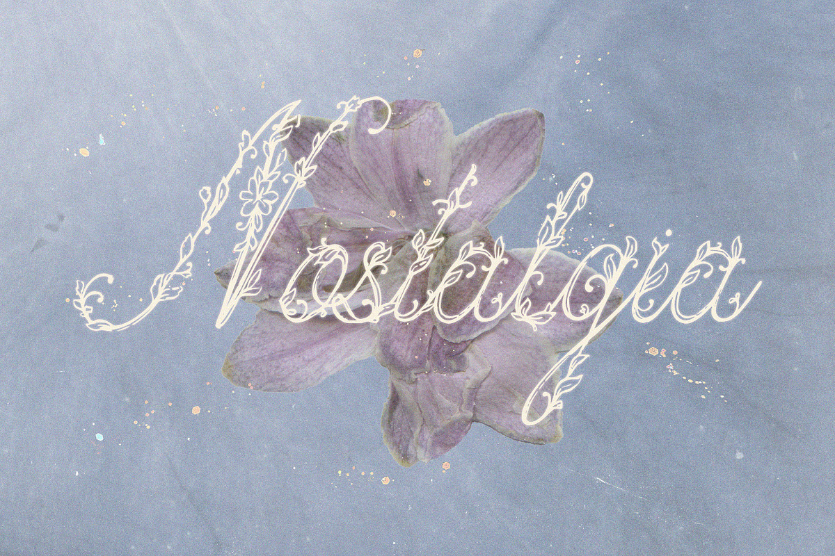 Petalia Decorative Floral Font, a Script Font by AnMark (Photo 2 of 11)