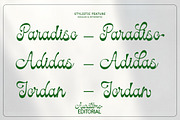 Auratime Editorial, a Script Font by StudioRhd (Thumbnail 8 of 10)