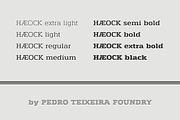 Haeock Family, a Slab Serif Font by vectalex (Thumbnail 6 of 6)