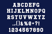Varsity, a Slab Serif Font by Fourteen Letter (Thumbnail 5 of 6)