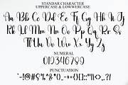 English, a Handwritten Font by FreshTypeINK (Thumbnail 3 of 8)