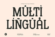 CS Wagner Drawn, a Serif Font by Craft Supply Co. (Thumbnail 7 of 8)