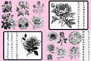 2235 BUNDLE Procreate Stamp Brushes, a Brush Add-On by Revabrush (Thumbnail 10 of 17)
