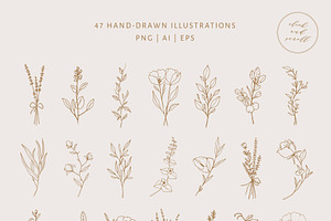 Vol. 2 Botanical Hand - Drawn Logos