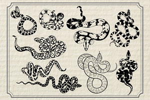 Snake SVG, Snake Stencils