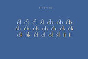 Wondershine, a Serif Font by INKSUN™ (Thumbnail 11 of 14)