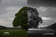 64 Lightroom Presets: Core Set, an Action Add-On by Frederick & Lightroom (Thumbnail 9 of 15)
