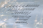 At First Sight Vintage Script Font, a Script Font by AnMark (Thumbnail 5 of 13)
