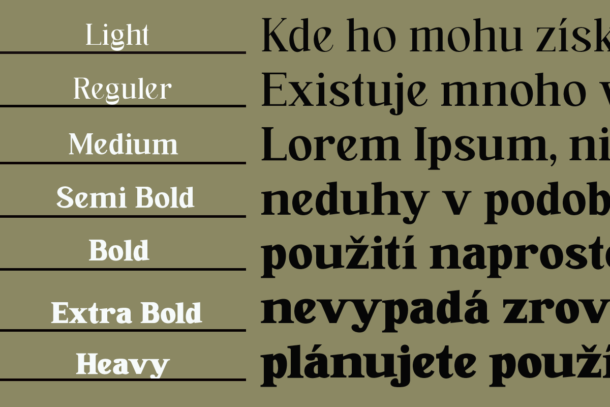 Ranira, a Serif Font by Differentialtype