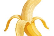 All Fruits Bundle Master Collection, a Food & Drink Photo by FlyeredTemplate (Thumbnail 77 of 130)