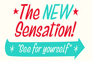 Just Right Casual Script, a Script Font by Price Foundry (Thumbnail 4 of 8)