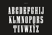Pale Horse, a Slab Serif Font by Pale Horse (Thumbnail 7 of 11)