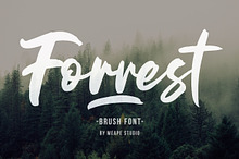 Forrest - Brush Font