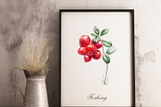 Forest watercolor designer toolkit, an Animal Illustration by Elegantia (Thumbnail 7 of 28)