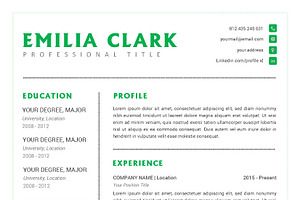 CV Resume Word Docx Template