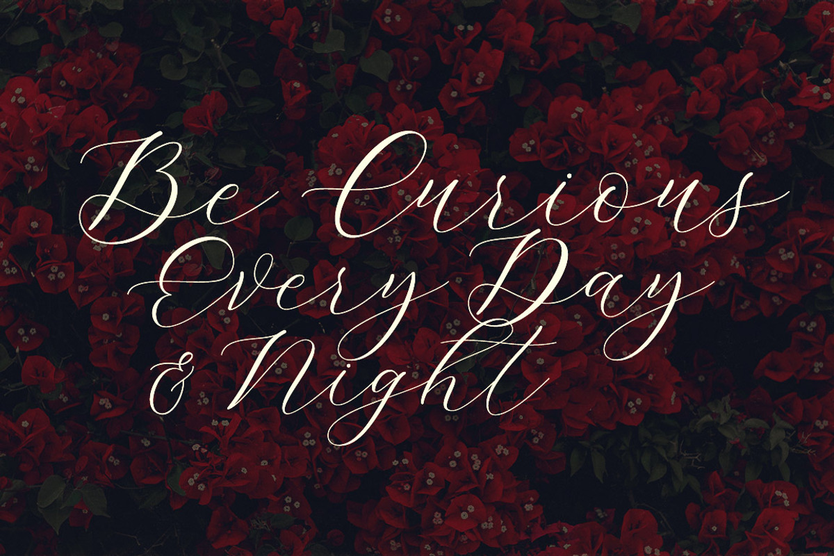 Emeline Script Font preview 3