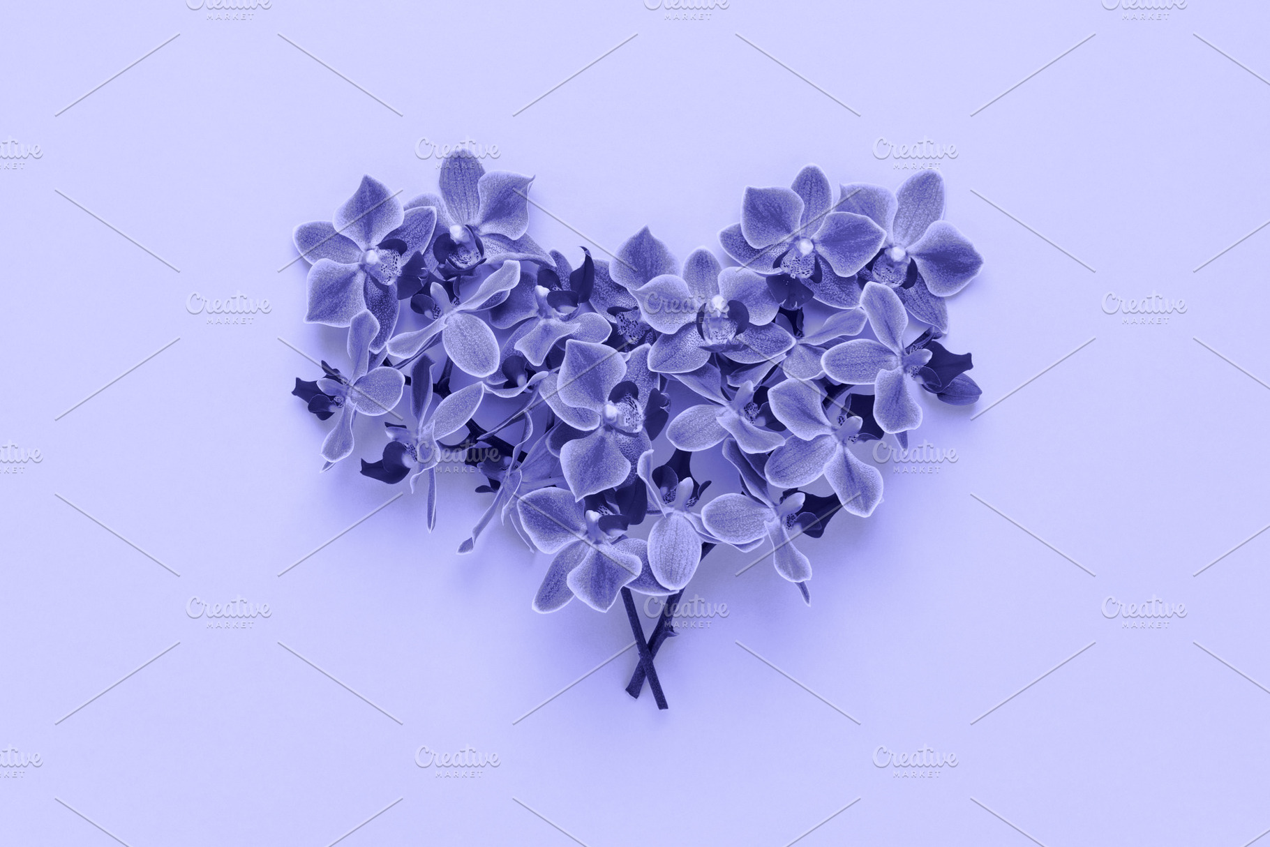 Violet flowers in heart shape, an Abstract Photo by Julia Manga