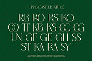 Grass - Serif Font, a Serif Font by Alpaprana (Thumbnail 4 of 10)