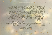 The Blooming Hour Botanical Script, a Script Font by AnMark (Thumbnail 4 of 12)