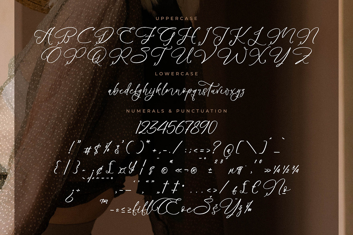 Benthany Amourty Modern Calligraphy, a Script Font by Letterena Studios Script (Photo 13 of 15)