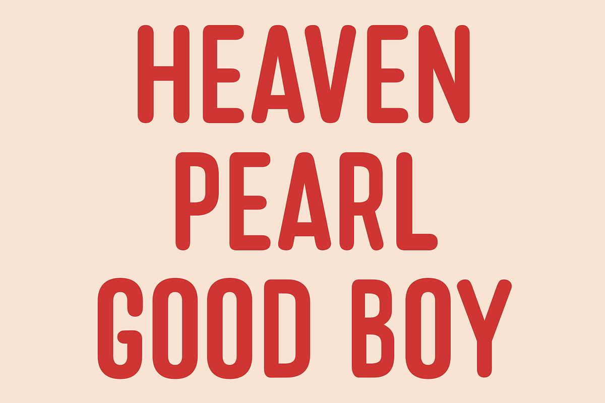 Noumi Round - Caps Bold Display Font, a Sans Serif Font by Tiga Type (Photo 8 of 8)