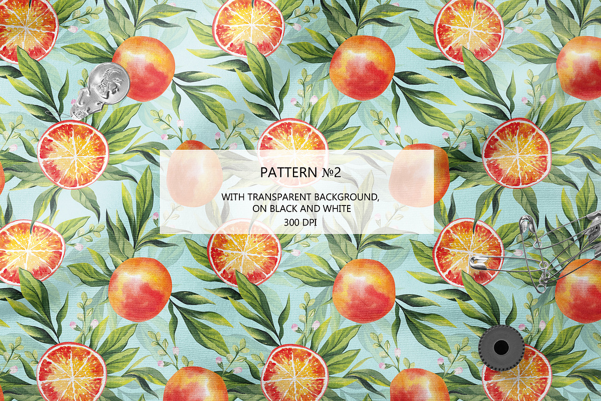 CITRUS FRUITS, an Illustration by Elena_Sedova (Photo 6 of 8)