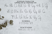 Spreadsheet, a Handwritten Font by FreshTypeINK (Thumbnail 8 of 8)
