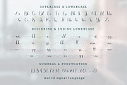 Harlesy Script, a Handwritten Font by sizimon (Thumbnail 8 of 8)