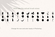 Fruit and Veggie Stamps, a Brush Add-On by Sweet Fig (Thumbnail 2 of 9)
