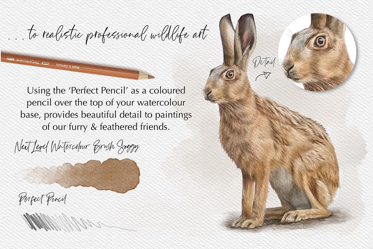 Next Level Watercolour Workshop, a Brush Add-On by SketchWerx (Photo 4 of 21)