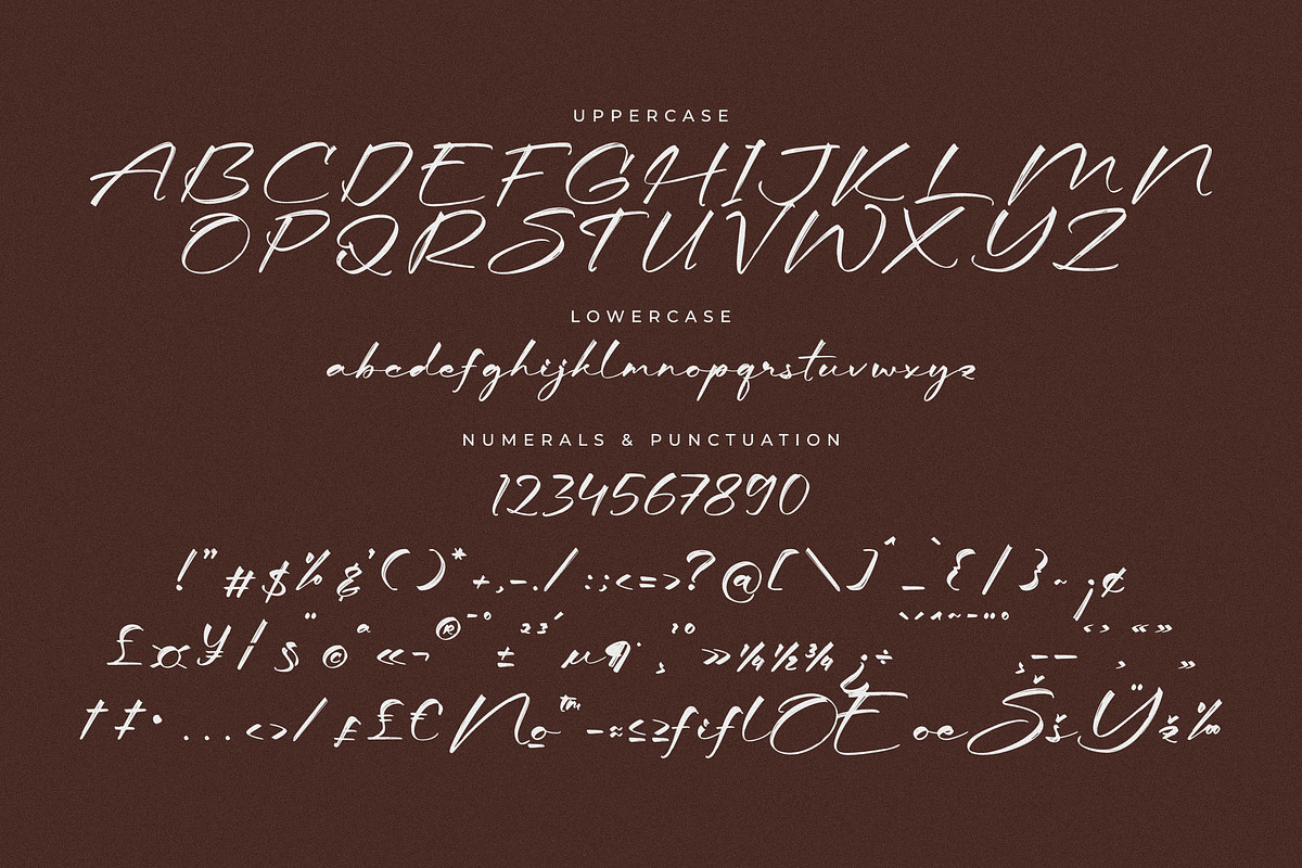 Seraphina Modern Font Duo, a Serif Font by Storytype Studio (Photo 13 of 15)